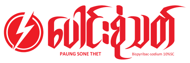 Client Logo 2